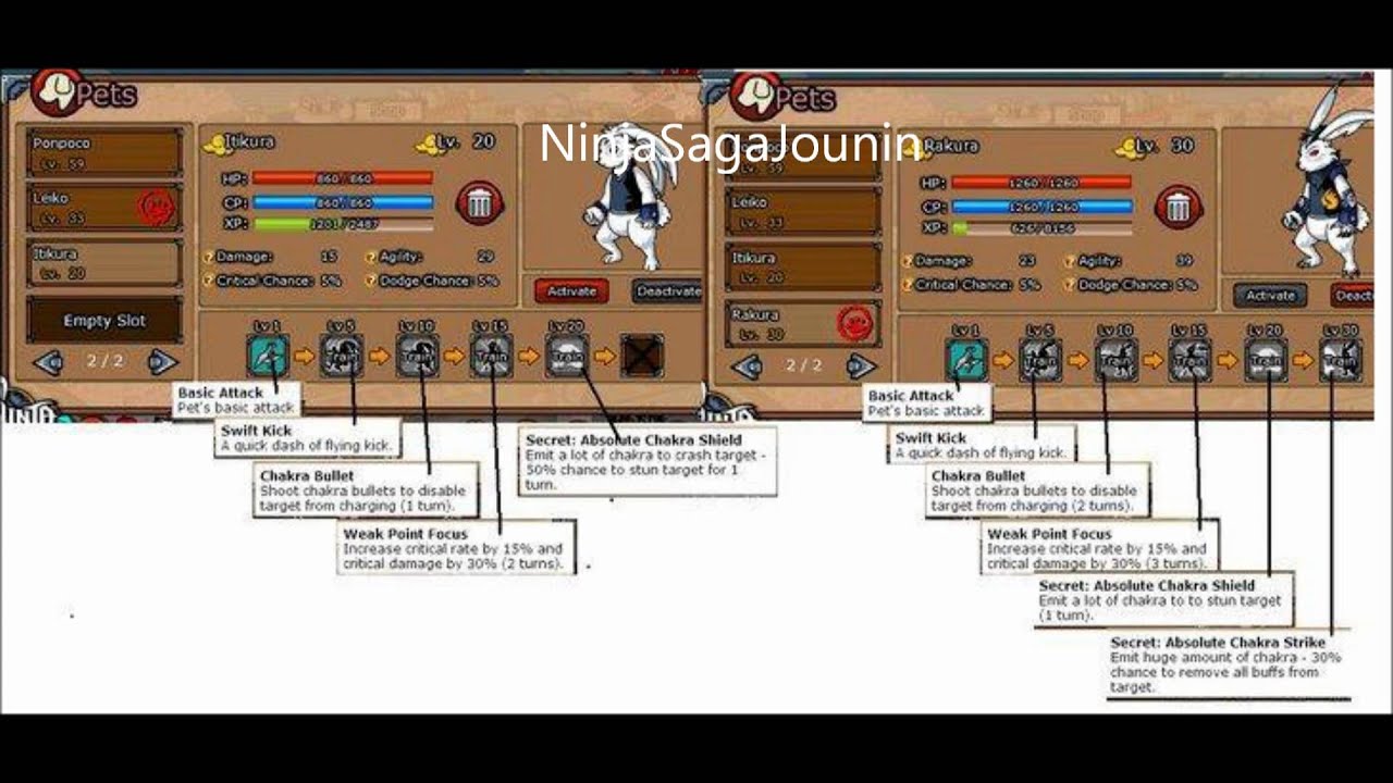 Ninja Saga Easter Pet 2011 (itikura and rakura)