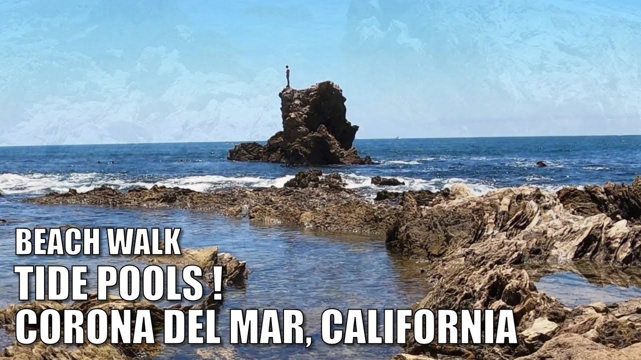 🌊 ⛵ 🏖 🎵 My Favorite TIDE POOLS at Little Corona del Mar Beach, California | July 2020