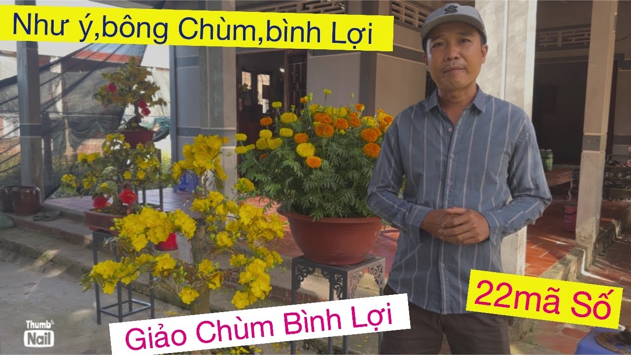 Clip3…09733.88093 lĩnh anh,,,giao chùm bình lợi 
