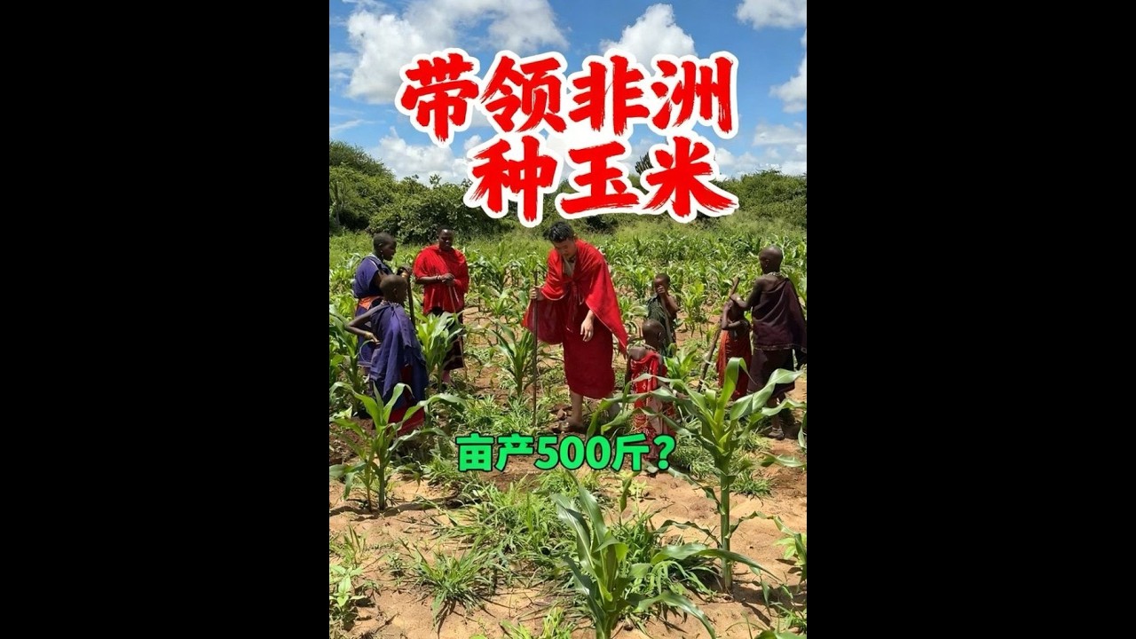 如果你一觉醒来，发现自己身边都是马赛人，那么你一定不要犹豫直接重开，因为你这一世将要…#非洲生活#海外生活