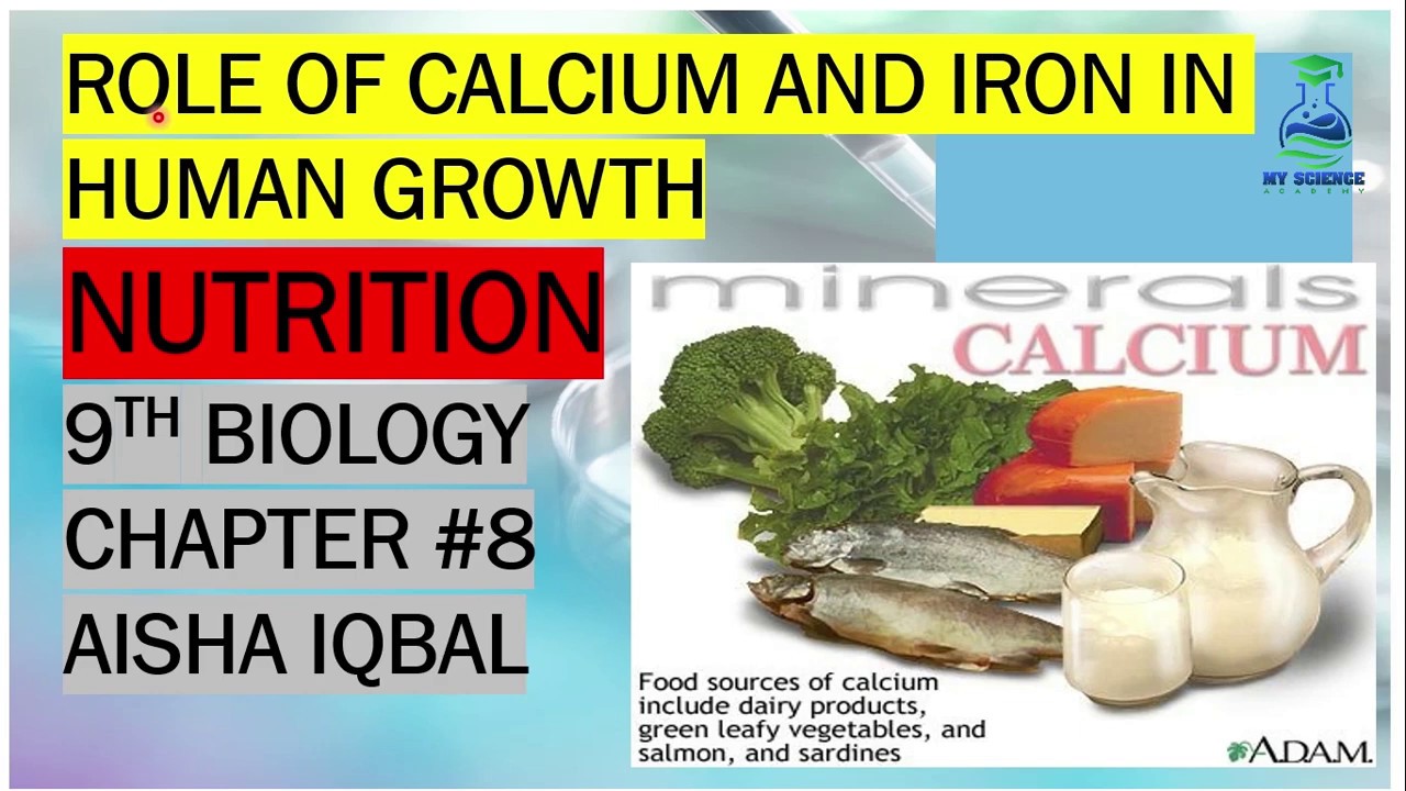 Role of Calcium and Iron in Human Growth | Biology Class 9