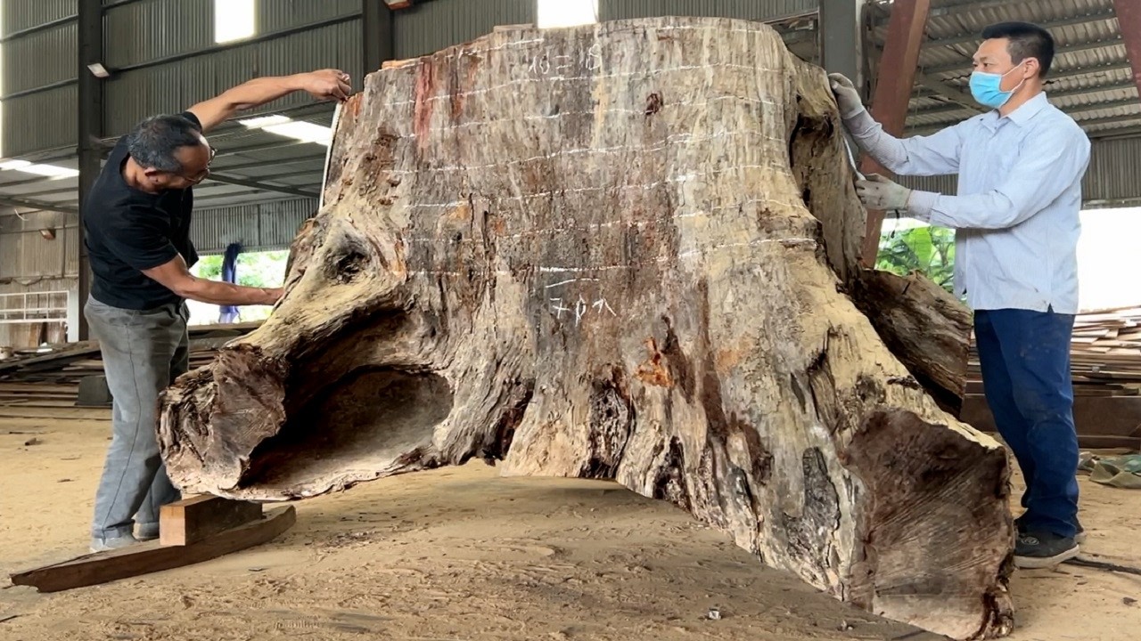 MIND- BLOWING Coffee Tables Made from a Giant Tree Stump
