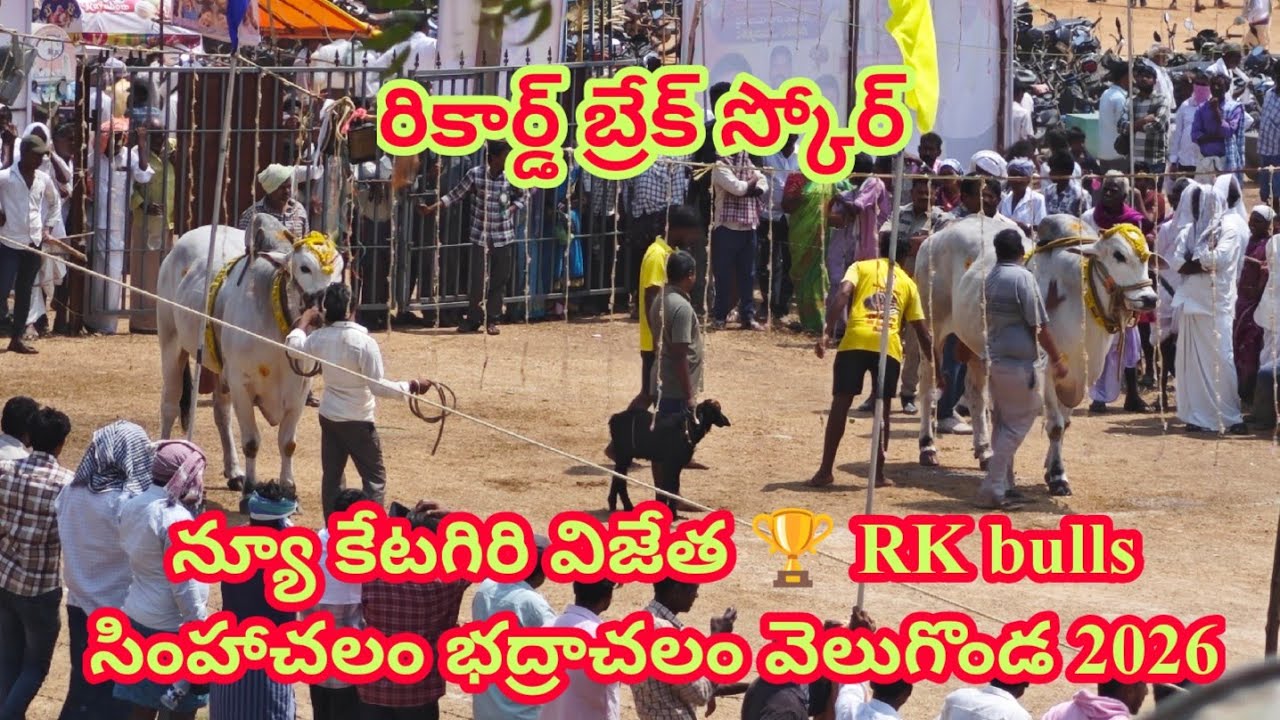RK bulls ( సింహాచలం _ భద్రాచలం ) న్యూ కేటగిరీ వెలుగొండ 2026