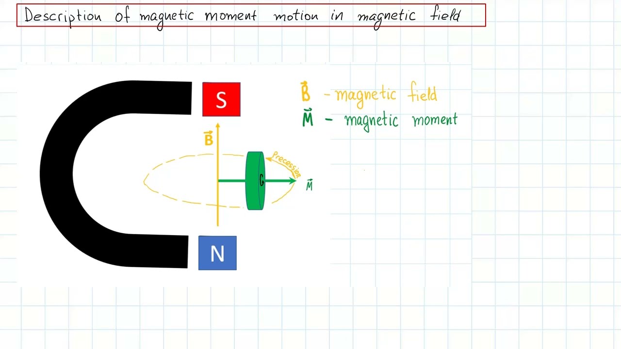 Magnetic moment precession (Larmor precession) in magnetic field (NMR EPR)