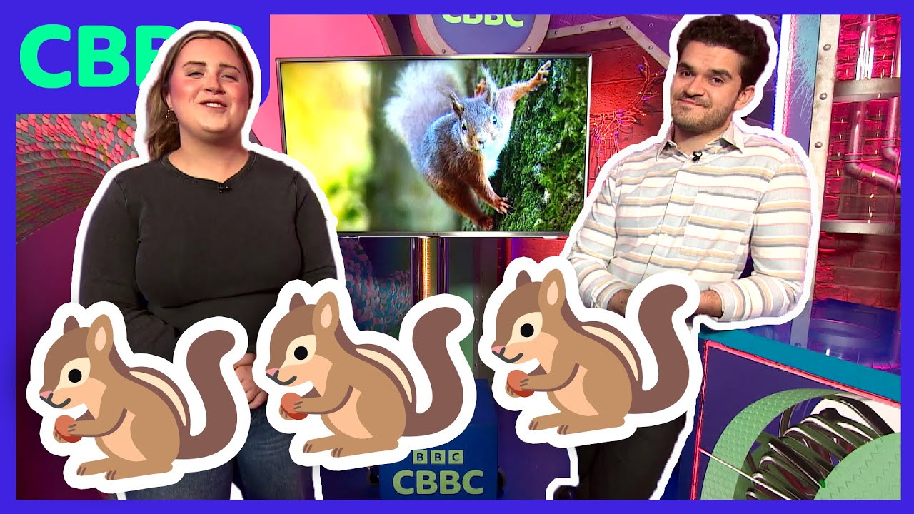 Feòragan-ruadha: Am Fios Gu Lèir! 🐿️ | CBBC ALBA | BBC ALBA