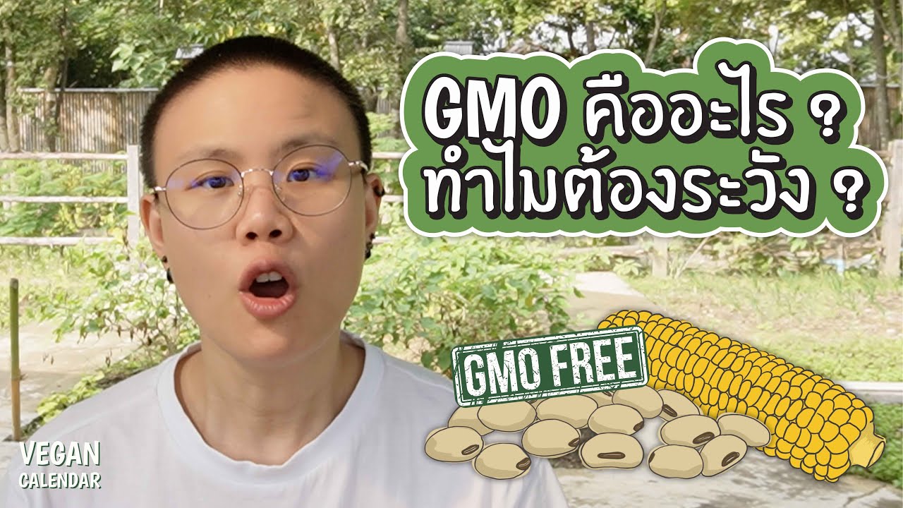GMO คืออะไร ? ทำไมต้องระวัง ? | Vegan Calendar
