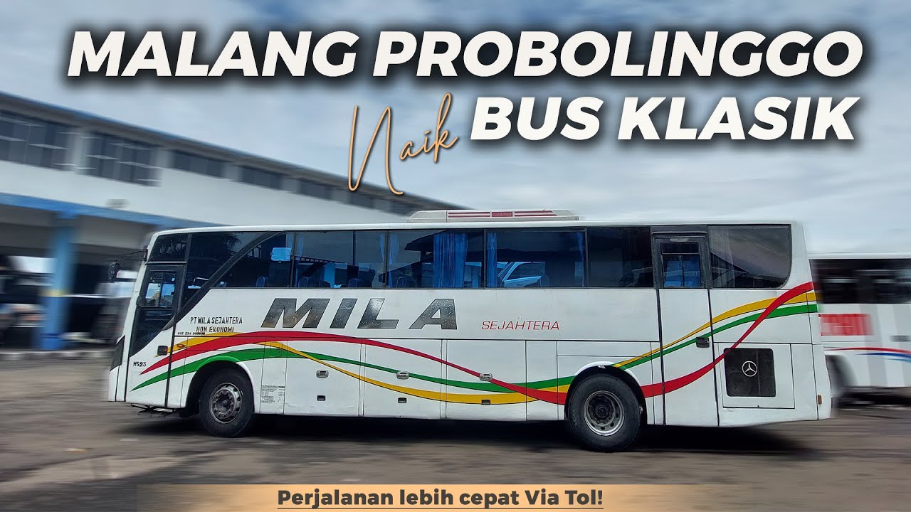 BUS PALING KLASIK DI JALUR MALANG-PROBOLINGGO! TRIP MILA SEJAHTERA PATAS MALANG-PROBOLINGGO