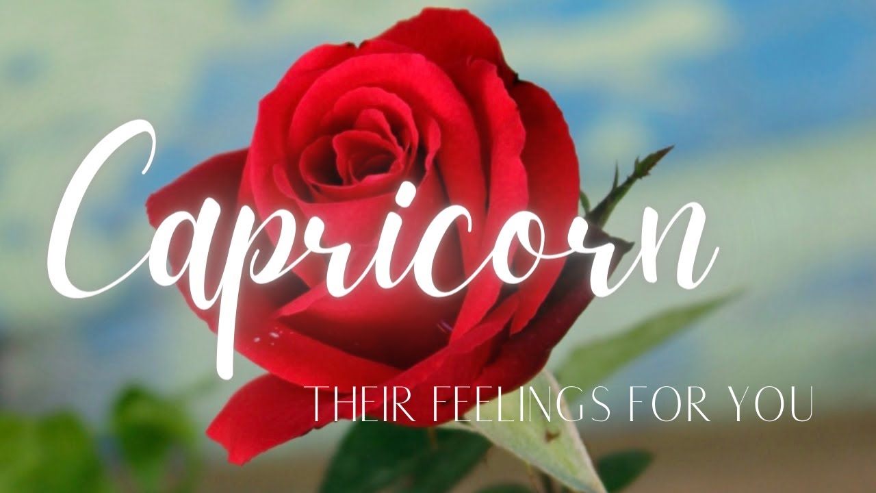 CAPRICORN LOVE TODAY - YOUR READING MADE ME CRY!!! IT'S A MUST WATCH!!!