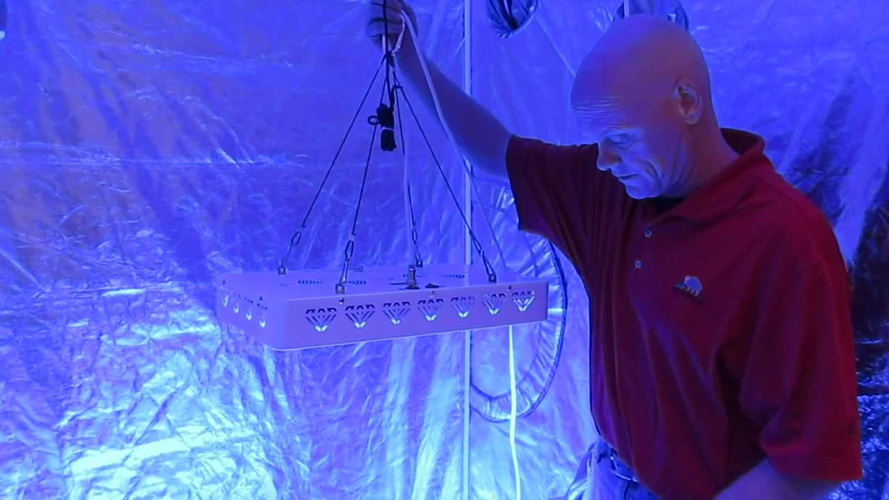 5w CREE LED Veg Grow Light