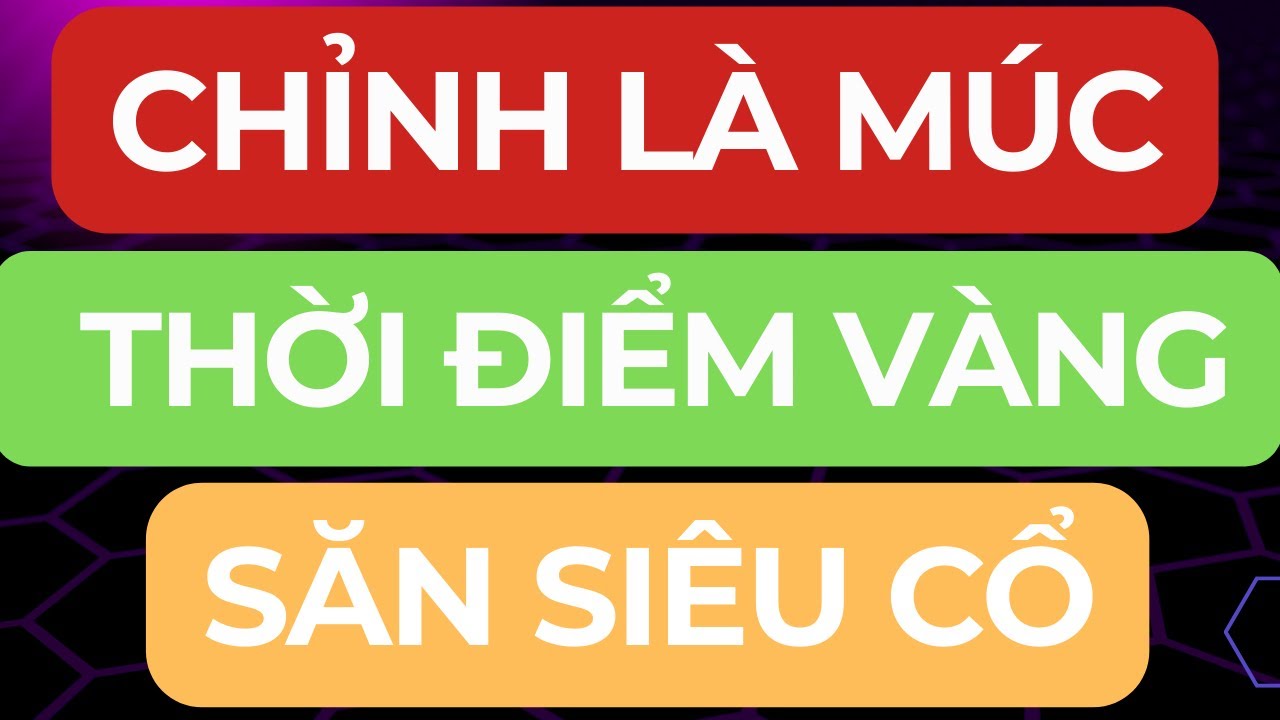🔴CHỈNH LÀ MÚC I THỜI ĐIỂM VÀNG SĂN SIÊU CỔ I TIN CỰC VUI CUỐI TUẦN