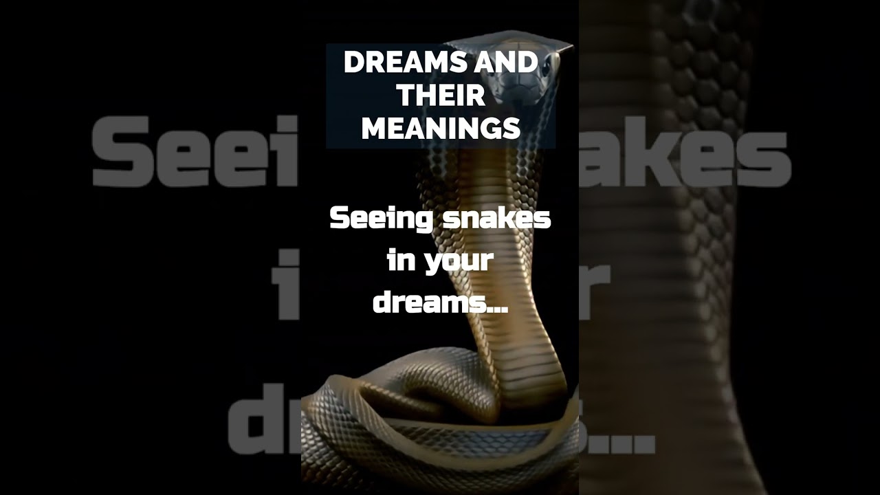Dreams And Their Meanings #dream #snake #shorts #short