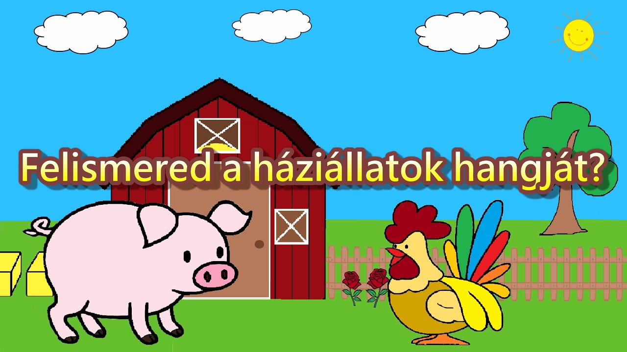 Felismered az állatok hangját? | HÁZIÁLLATOK