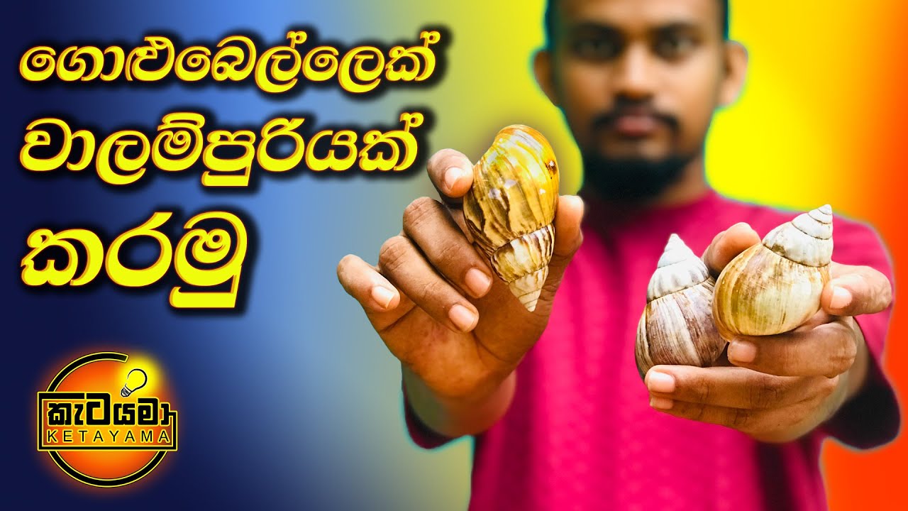 වාලම්පුරි හාස්කම් අතේ මාට්ටු  (සහල් ගොඩෙන් උඩට මතු වෙන්නේ මෙන්න මෙහෙමයි)