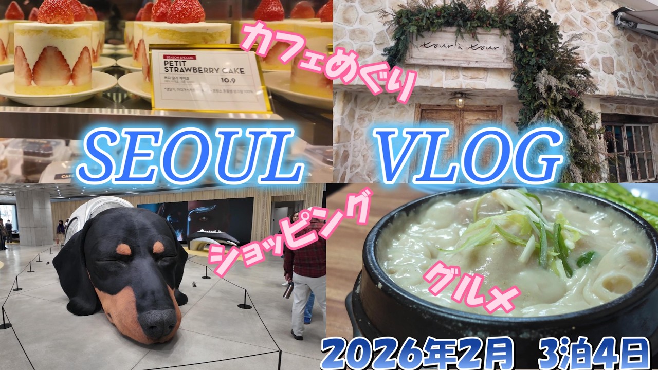 【seoul vlog✈️】初心者必見　3泊4日韓国旅行　絶対行きたい　おしゃれカフェoscar  coffeebooth、ソンスでショッピング、アーティストベーカリー、参鶏湯、アワビ粥、ナッコプセ