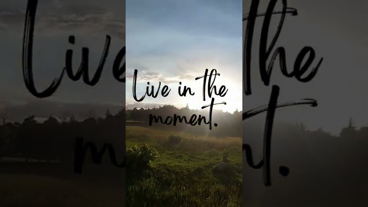 #shortsjeepwrangler #shortstravel #shortsreels #aventureworld #shortstrandingvideo