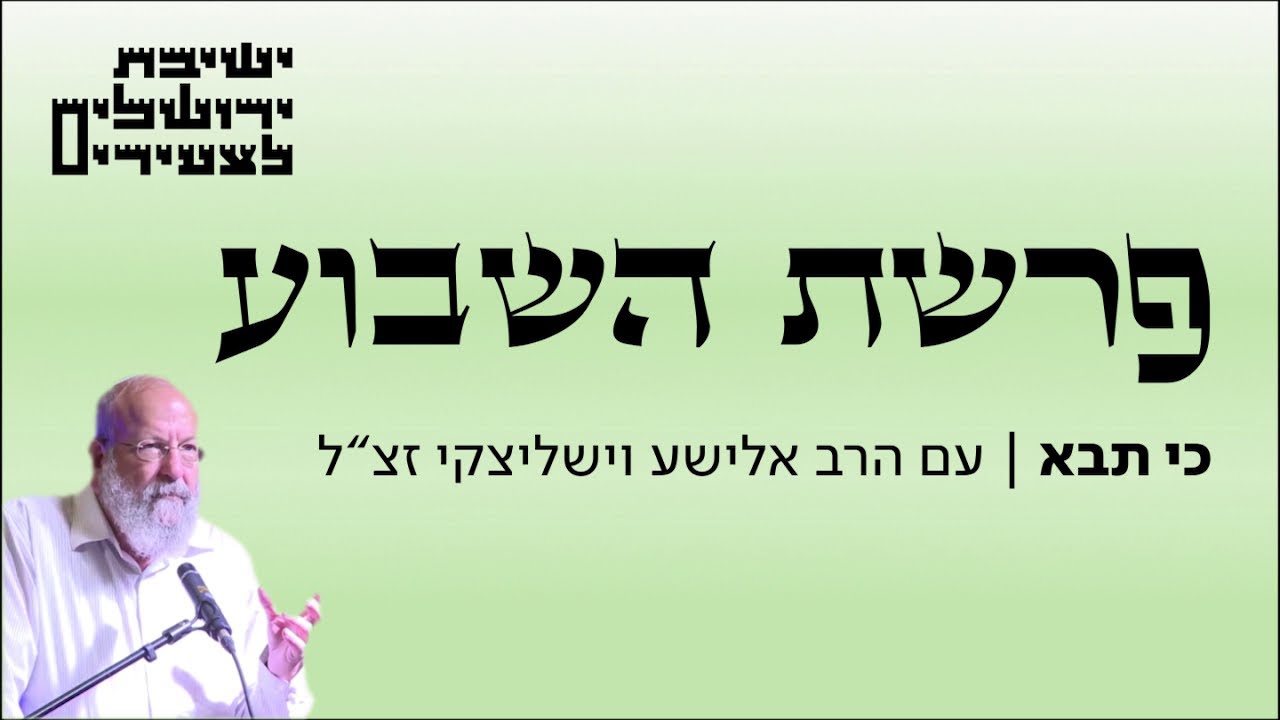 הרב אלישע וישליצקי זצ