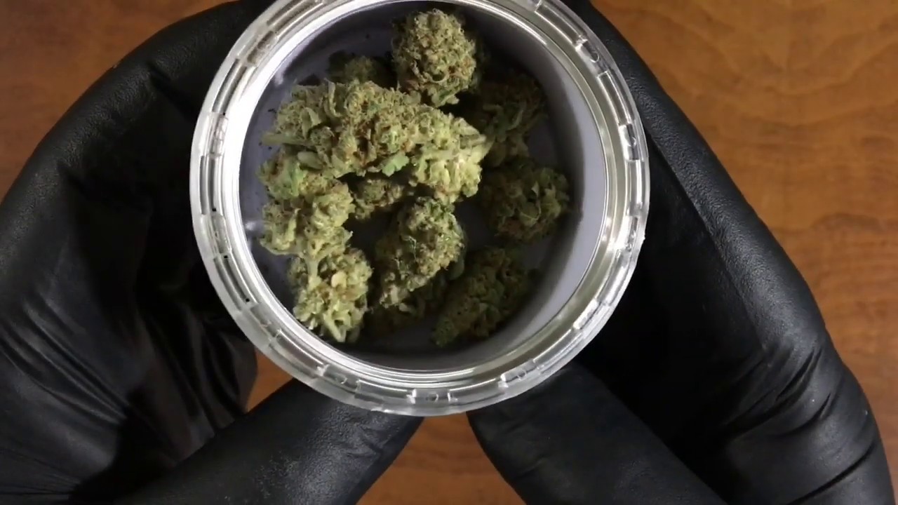 Chicago Illinois Medical Marijuana Review ~ Matter ~ TROPICAL SUNRISE 🌅 Hybrid Strain 3.5g 1/8th