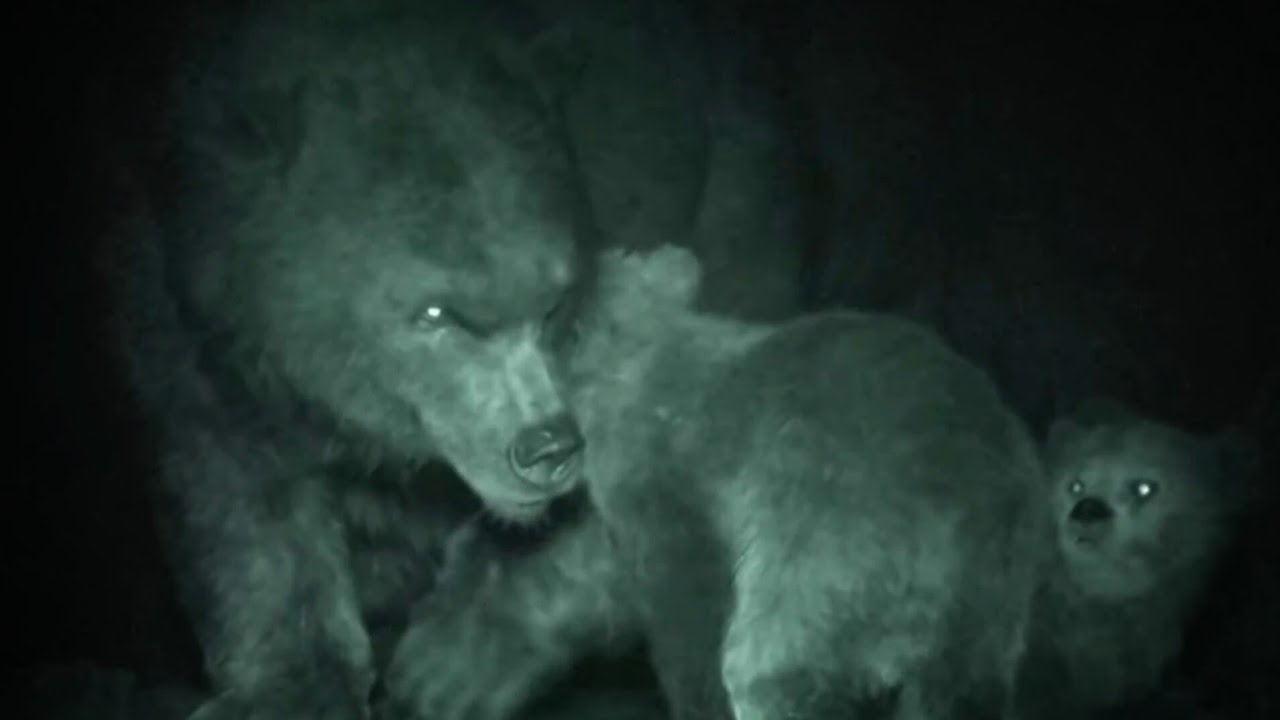 Prehistoric Planet: Ice Age [2025] - Cave Bears Screen Time 