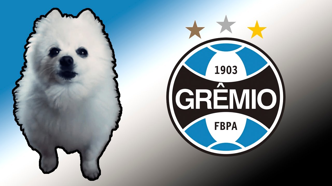 Hino do Grêmio em cachorrês | FUTEBOL