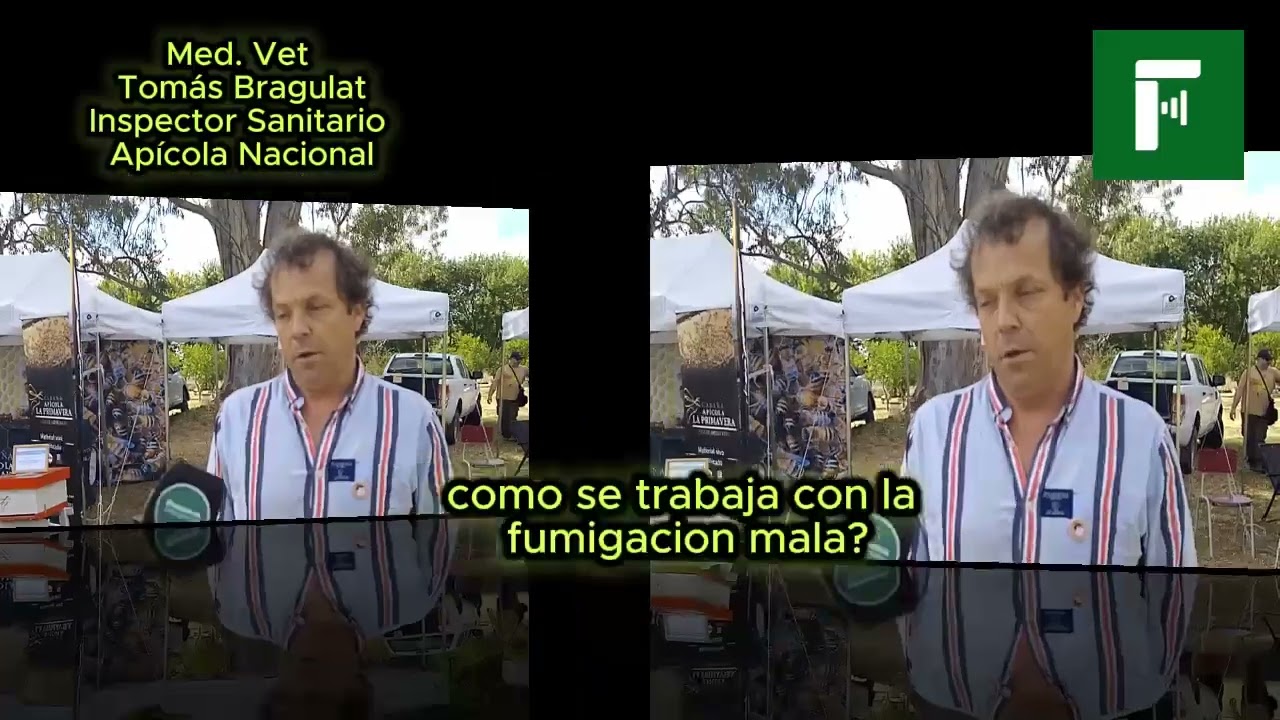Vet. Tomás Bragulat