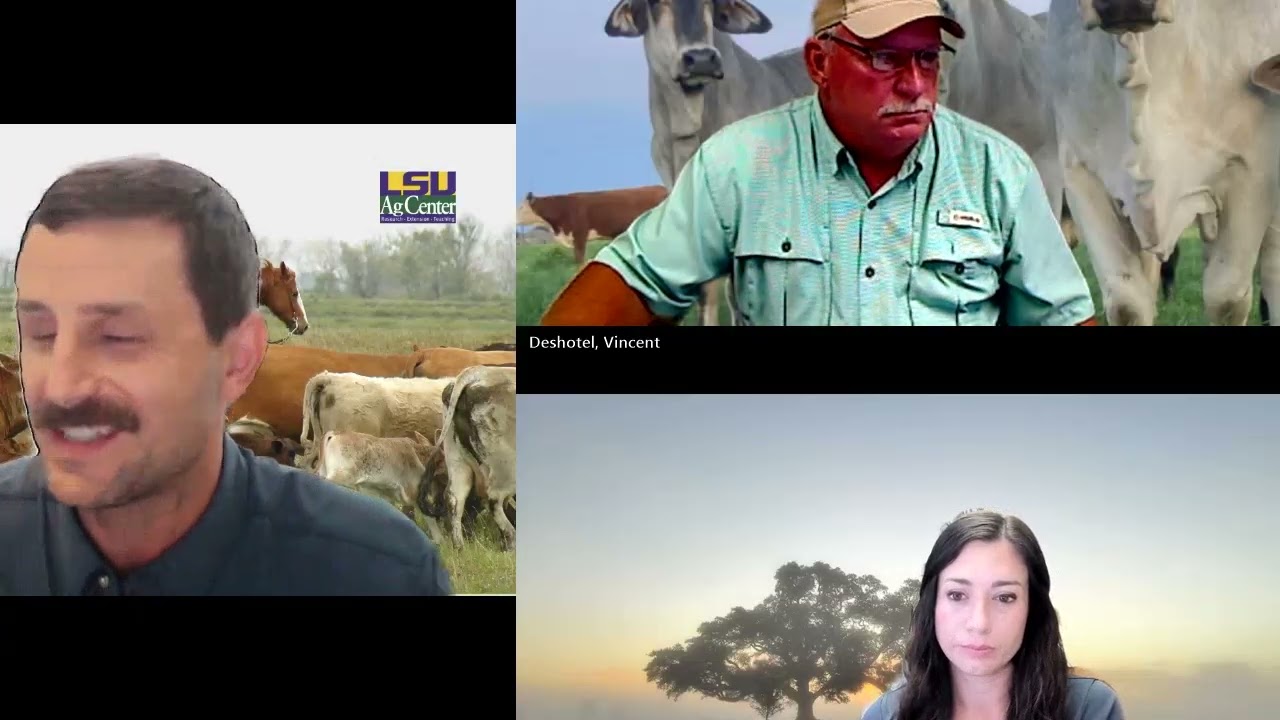 Beef Brunch News Update – August 19, 2025