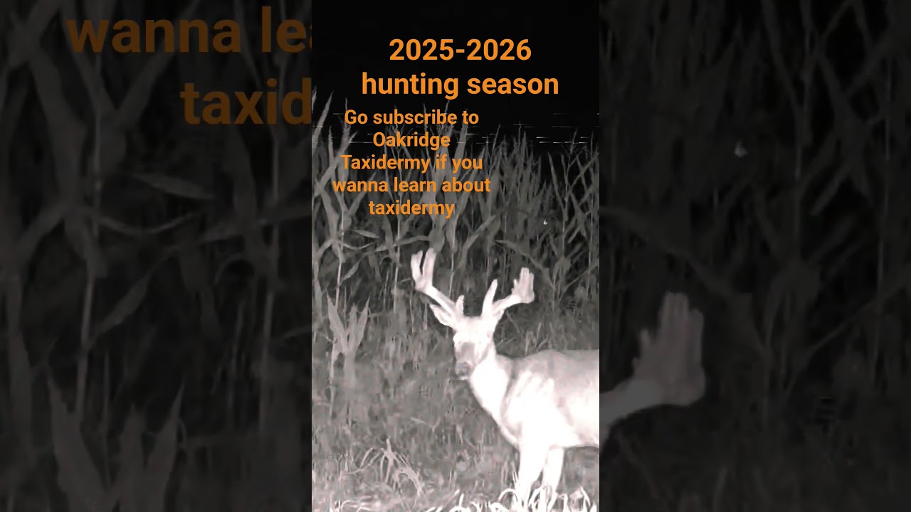 2025 2026 deer season 