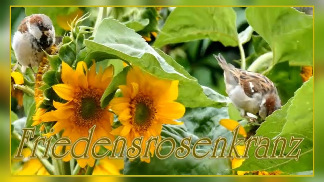 Friedensrosenkranz