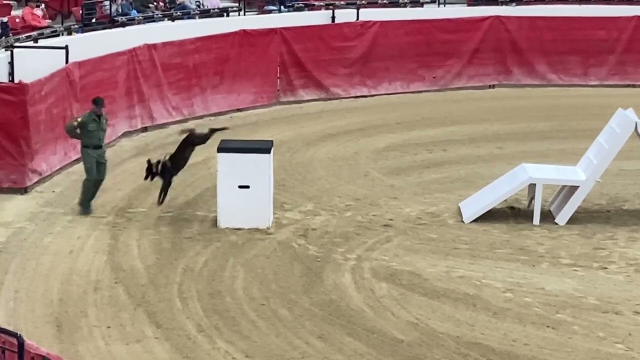 Las Vegas Metropolitan Police Department K9 Trials 31st Annual