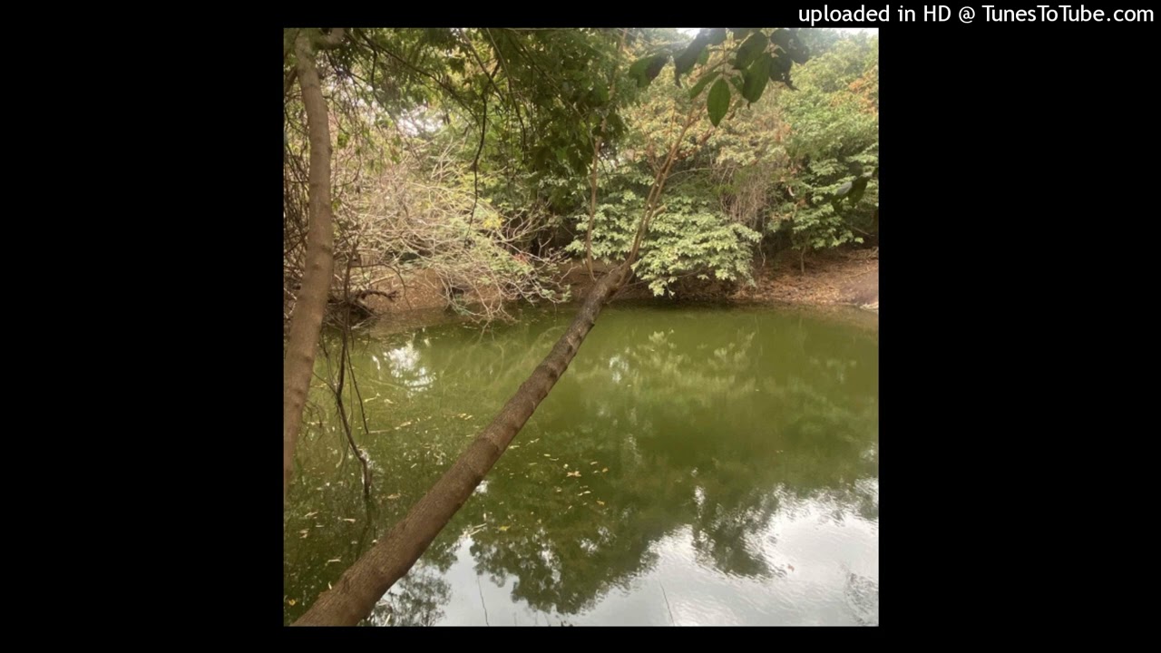 trentstrr + caint - nature (murfee 777eric)