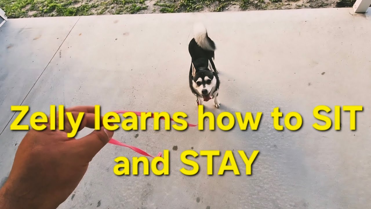 Learning 
