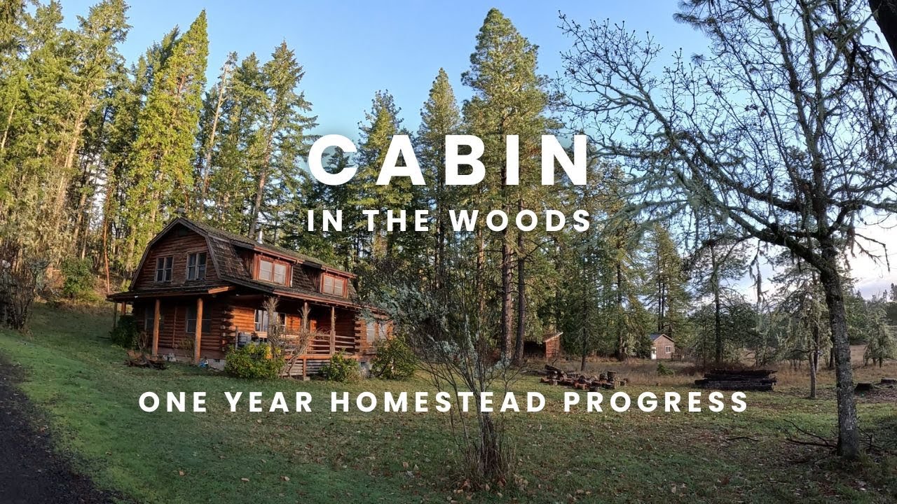 One year homestead progress - Log cabin living on 60 acres of forest land