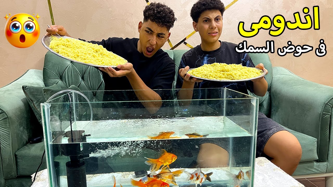ولد يملئ حوض السمك بالاندومي لكي يتحدي صديقه !