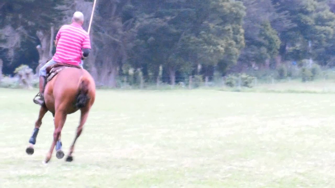 Primer Taqueo de Olivia