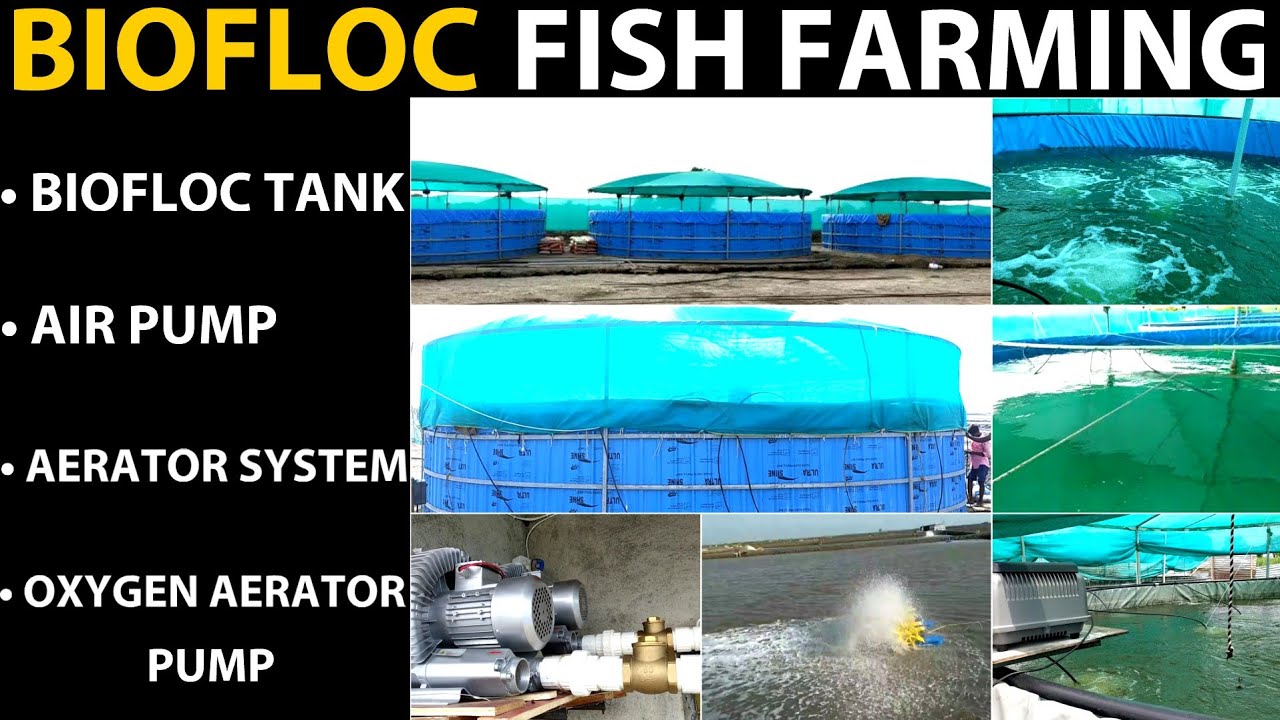 Biofloc Fish Farming Tank | Biofloc Fish Farming | Rajubhai Tradecorp - Aerator, Water Oxygen Filter