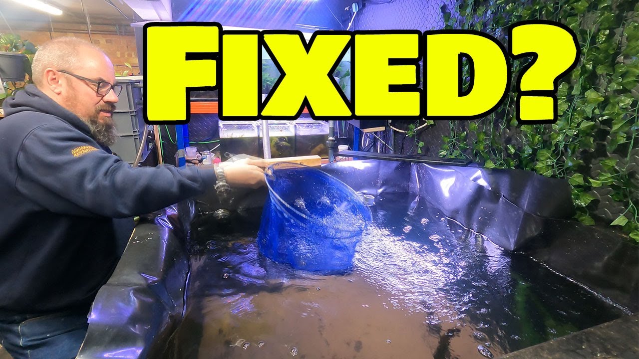 The Aquarium Build That Failed Spectacularly