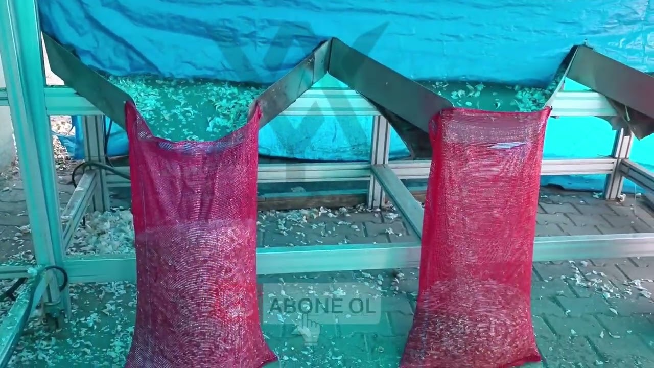 Taşköprü Sarımsağında Hasadın İlk Adımı: Dişleme Süreci