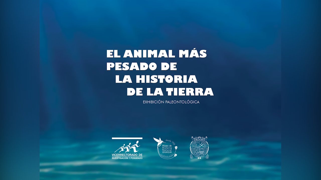 🔴#UNMSM Presentación del Perucetus Colossus: el animal más pesado que alguna vez existió