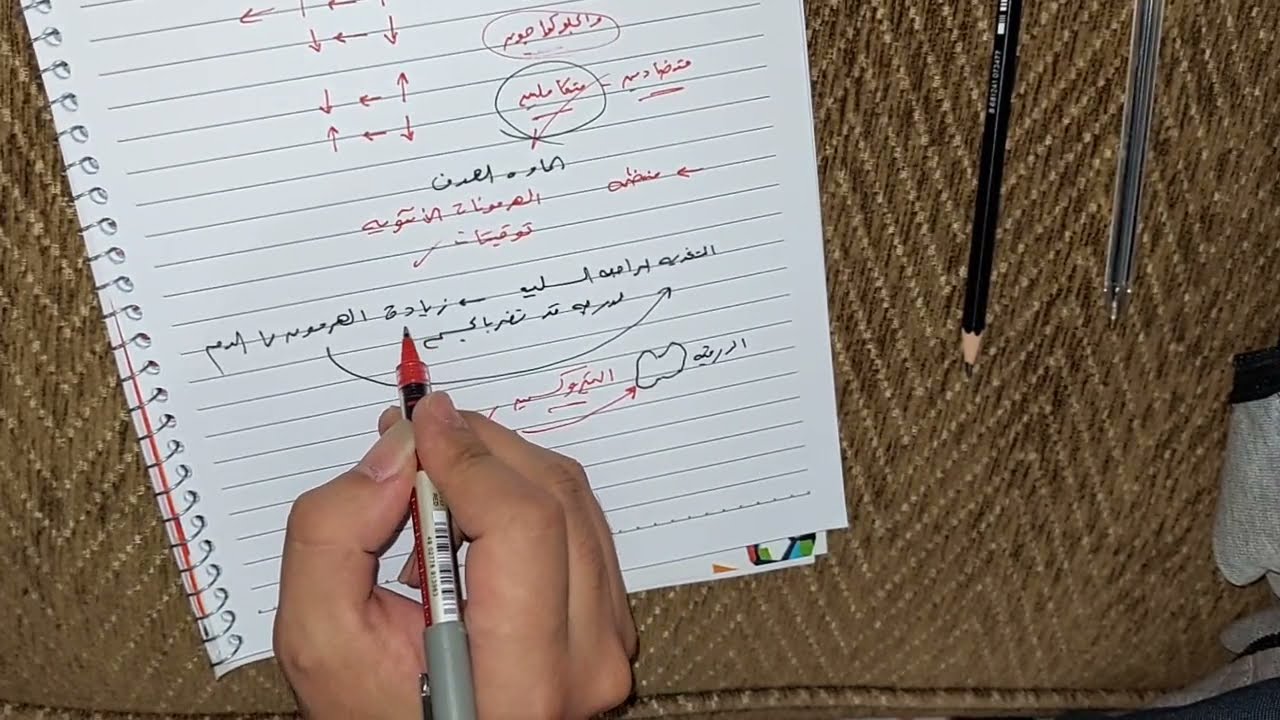 أحياء ثانوية عامة 2022 - التغذيه الراجعه السلبيه وطريقة عمل الهرمونات - فصل الهرمونات