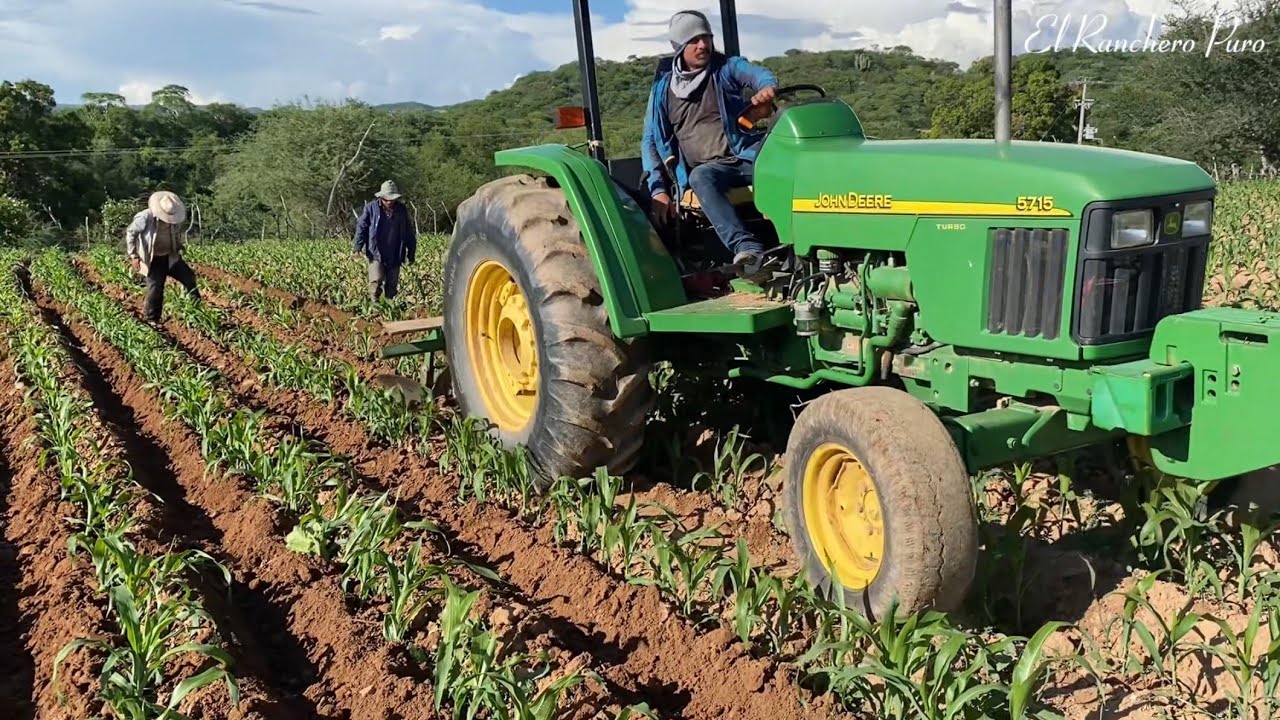 Dándole sobernal ala milpa(planta de maiz) 🌽🤠#rancho #vidaenelcampo 