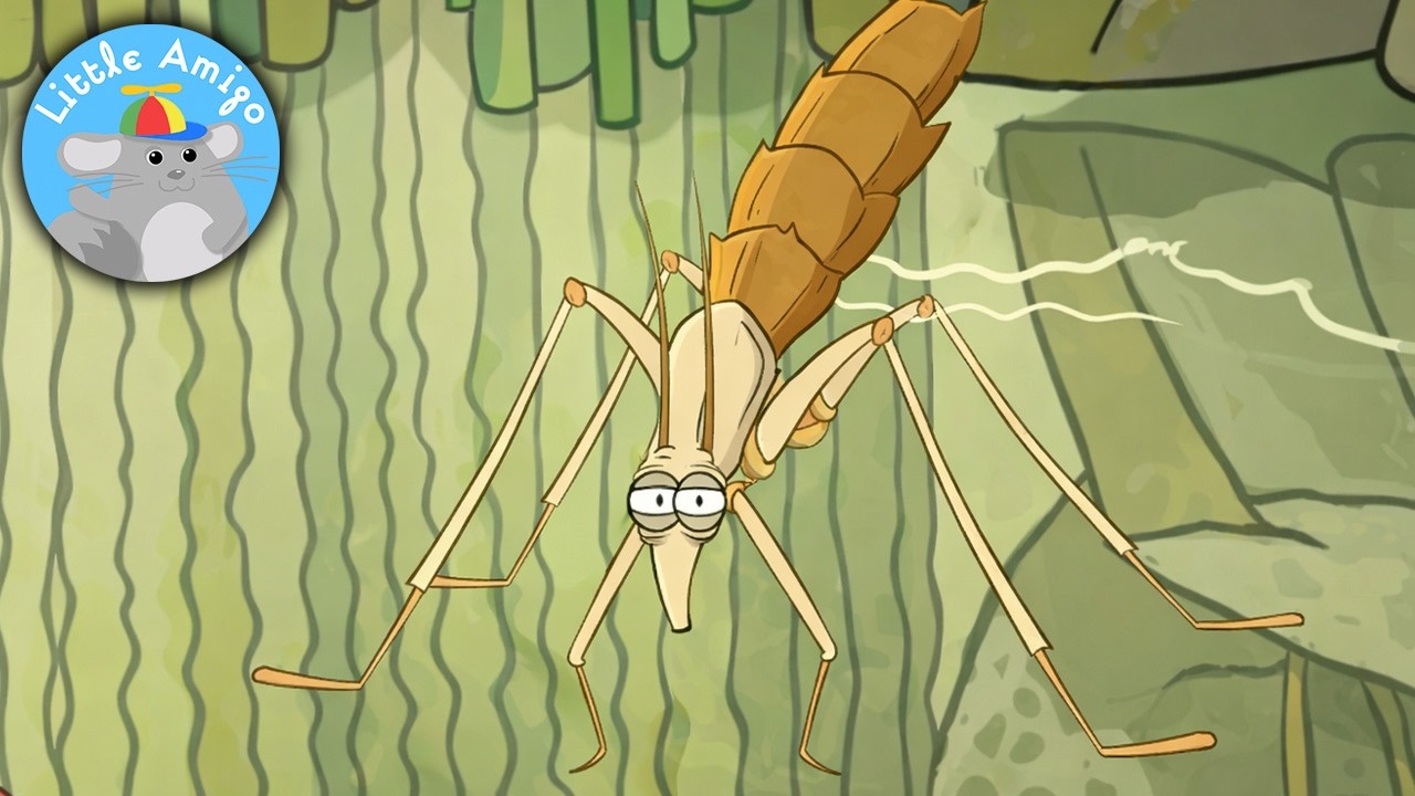 WATER STRIDER | I'm A Creepy Crawly | Little Amigo | Preschool Cartoons