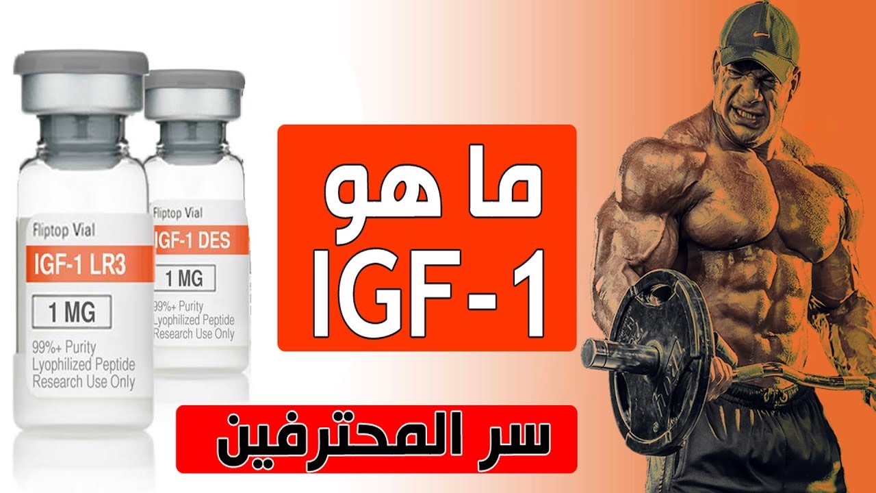 اقوى منشط في العالم (معشوق محترفين كمال الاجسام ) IGF-1 و IGF-1 LR3  #اقوى_ببتيد