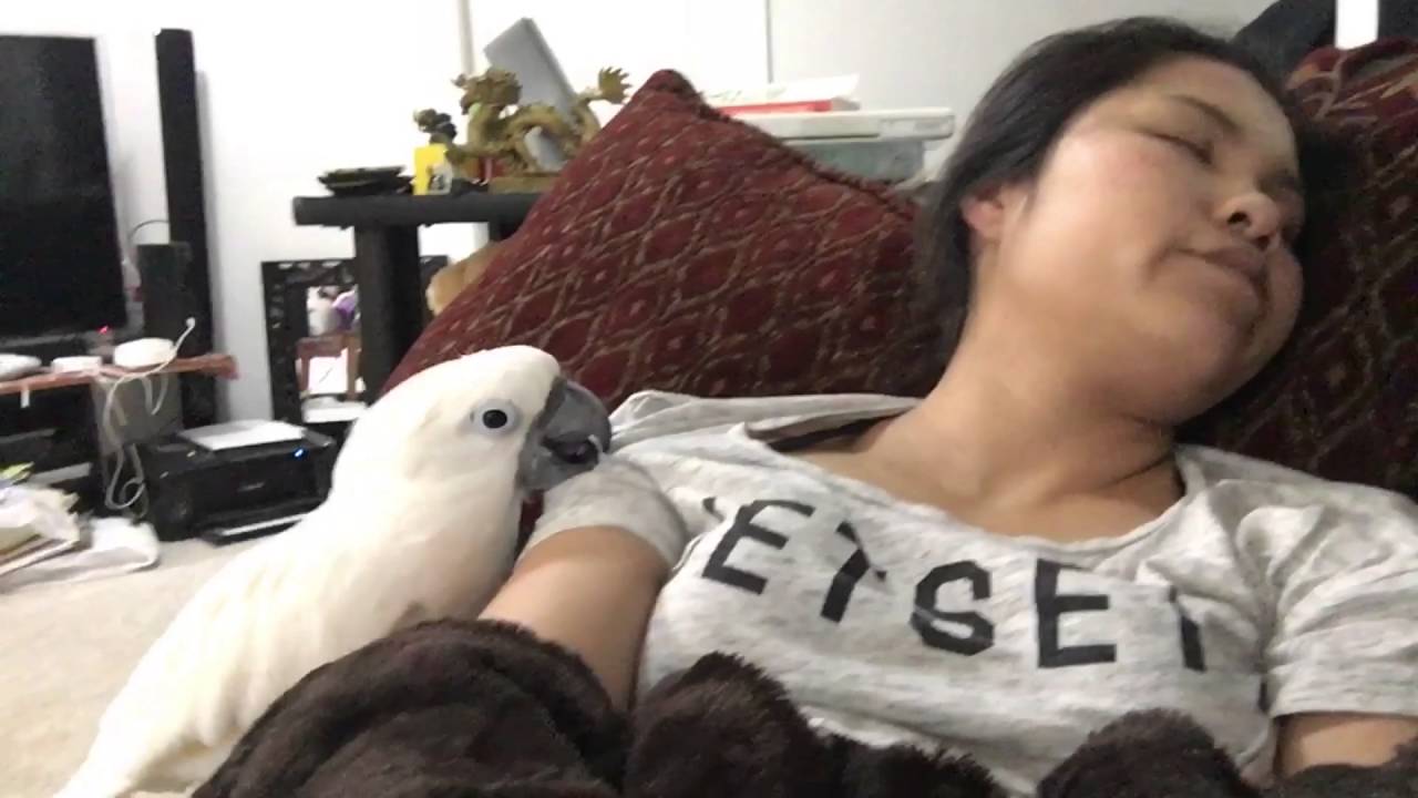 Mommy wake up pls ❤️