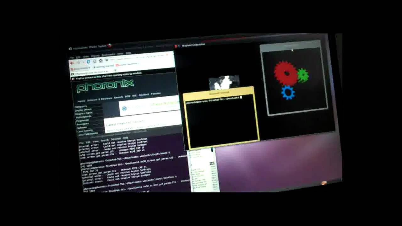Phoronix.com: Wayland Display Server (22 November Git)