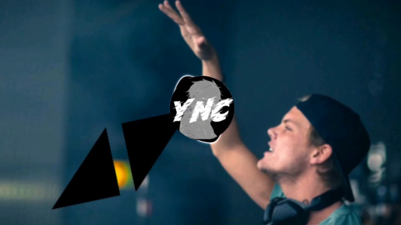 Avicii - Levels (Skrillex Remix) [Avicii Tribute #1]