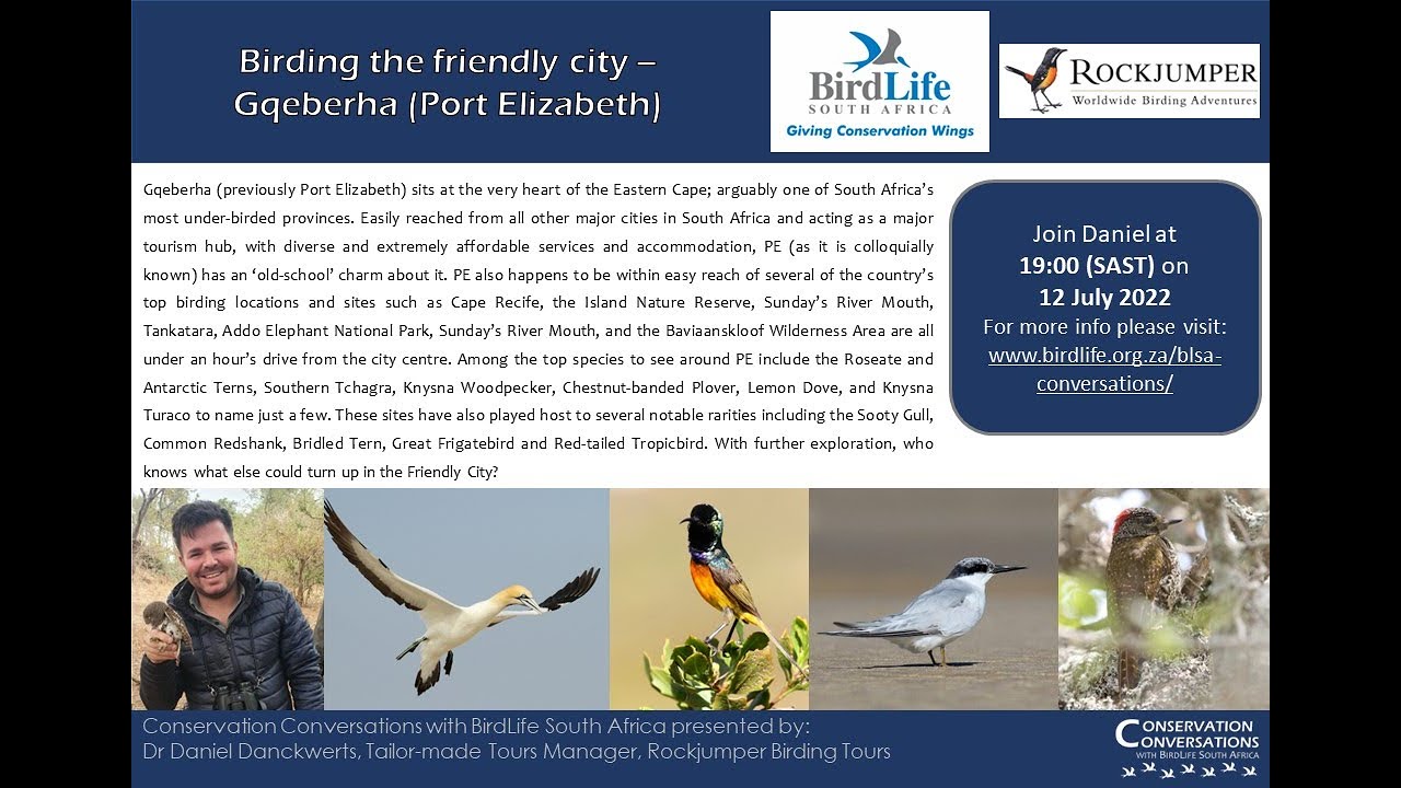 Conservation Conversations: Birding Gqeberha (Port Elizabeth) – Daniel Danckwerts (12 July 2022)