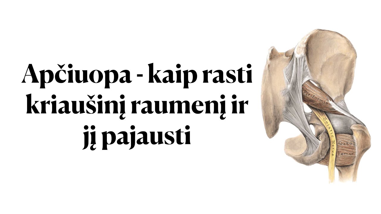 Apčiuopa - kaip rasti kriaušinį raumenį ir jį pajausti
