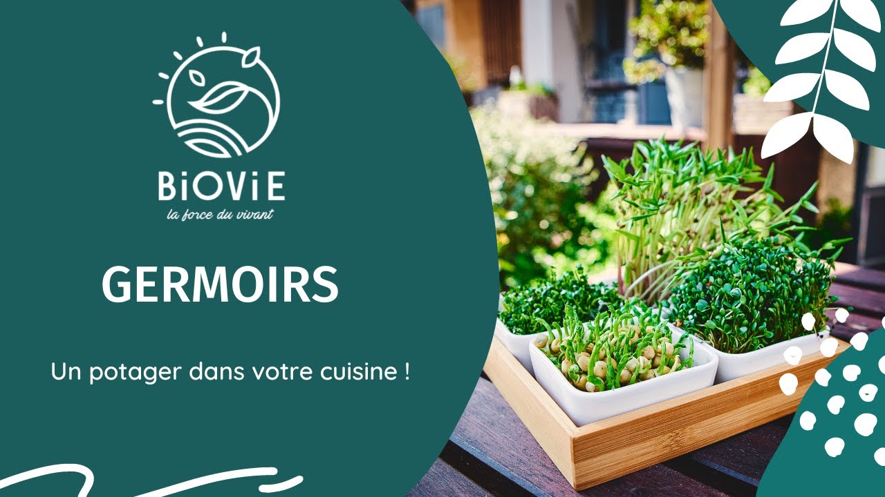 Easygreen par Biovie : le meilleur germoir automatique au monde vendu dans 32 pays depuis 1996