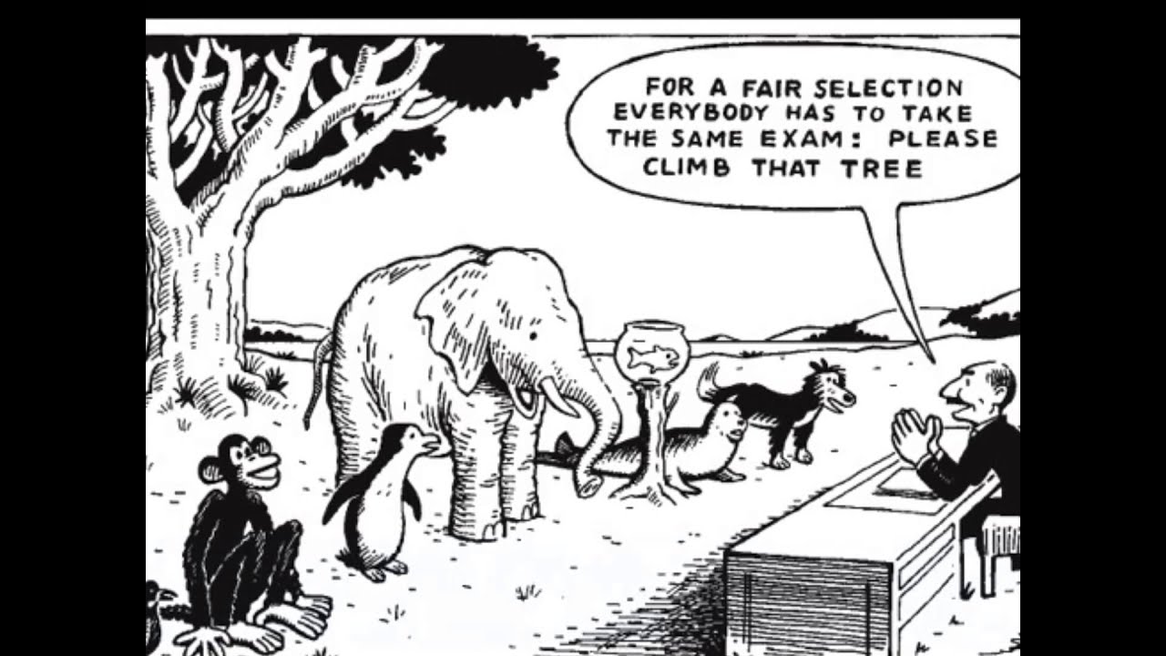 Teaching and Learning Approaches: Behaviorism, Cognitivism and Social Constructivism