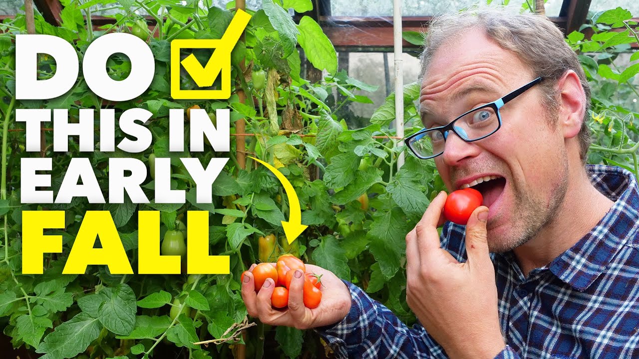 Easy Early Autumn Garden Wins You Can Do Today