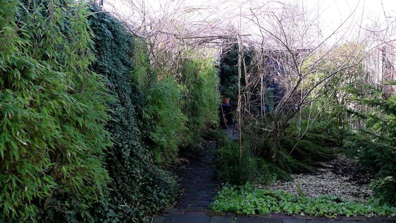 The boring Garden #079